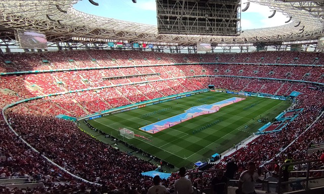 FIFA对