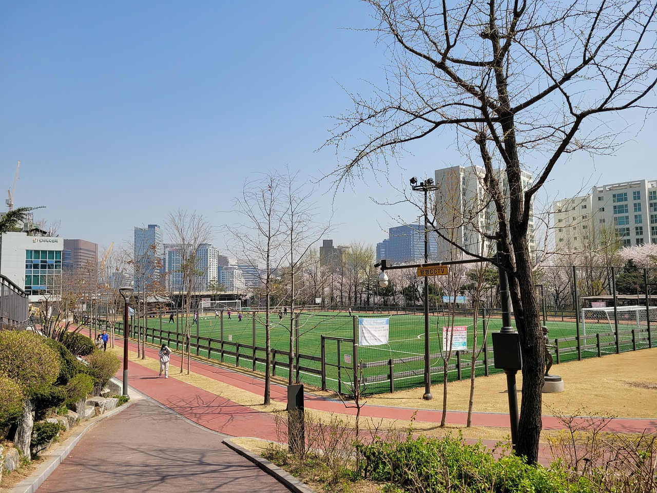 了几个关键 了几个关键