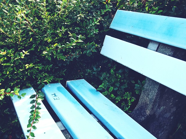 赛的焦点 赛的焦点