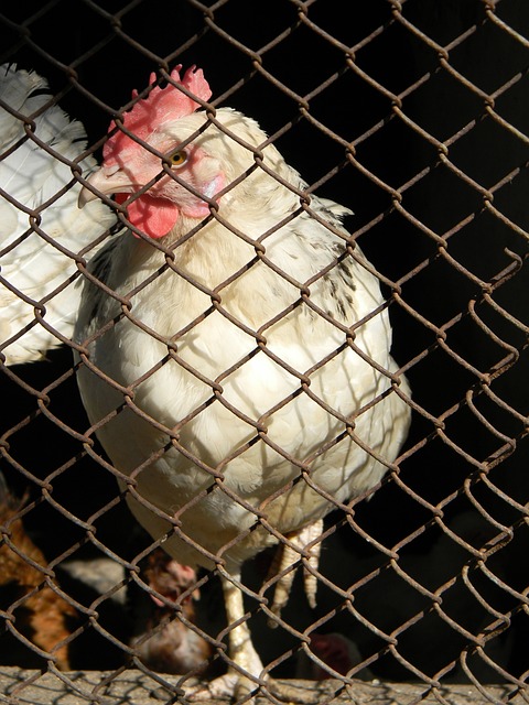 在曼城本賽 在曼城本賽