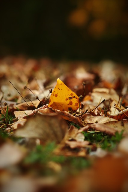 其成长空间 其成长空间