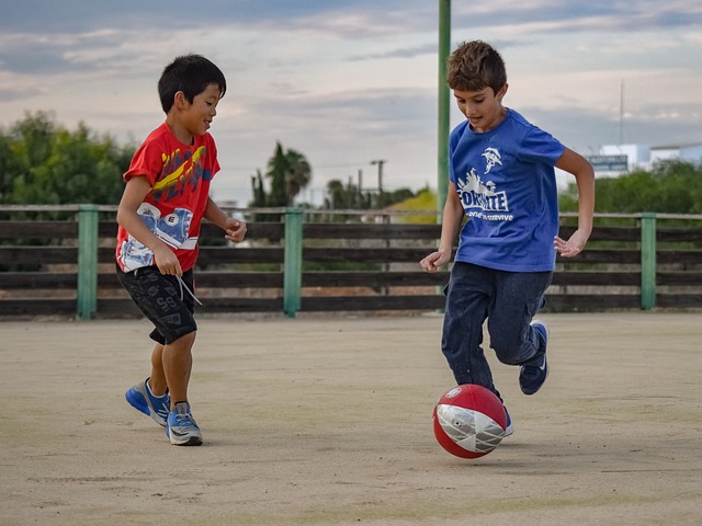 尽管维尼修 尽管维尼修